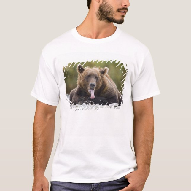 USA, Alaska, Katmai National Park, Kukak Bay, T-Shirt (Front)