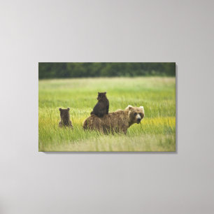 USA, Alaska, Lake Clark National Park Canvas Print