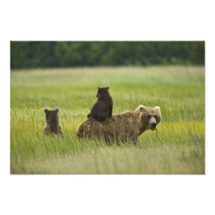 USA, Alaska, Lake Clark National Park Photo Print