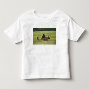 USA, Alaska, Lake Clark National Park Toddler T-Shirt
