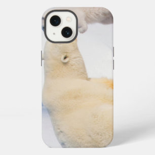 USA, Alaska, North Slope Polar Bears iPhone 13 Case