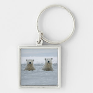 USA, Alaska, North Slope, Polar Bears Key Ring