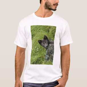 USA, Alaska, Pribilof Islands, St Paul. Blue T-Shirt