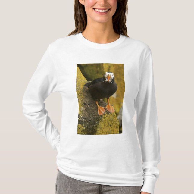 USA, Alaska, Pribilof Islands, St Paul. Tufted T-Shirt (Front)