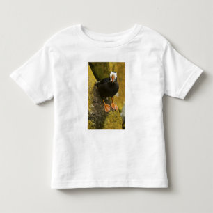 USA, Alaska, Pribilof Islands, St Paul. Tufted Toddler T-Shirt