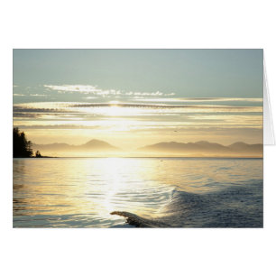 USA, Alaska, Southeast near Ketchikan, sunset.