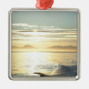 USA, Alaska, Southeast near Ketchikan, sunset. Metal Tree Decoration