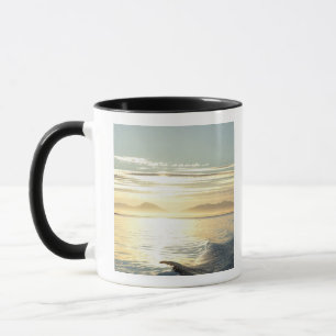 USA, Alaska, Southeast near Ketchikan, sunset. Mug