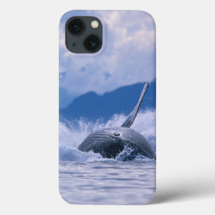 USA, Alaska, Tongass National Forest, Humpback iPhone 13 Case