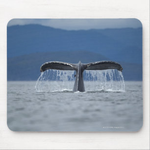 USA, Alaska, Tongass National Forest, Humpback Mouse Pad
