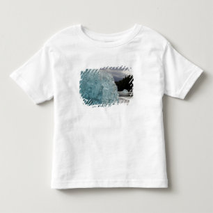 USA, Alaska, Tongass National Forest, Tracy 2 Toddler T-Shirt