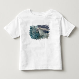 USA, Alaska, Tongass National Forest, Tracy 3 Toddler T-Shirt
