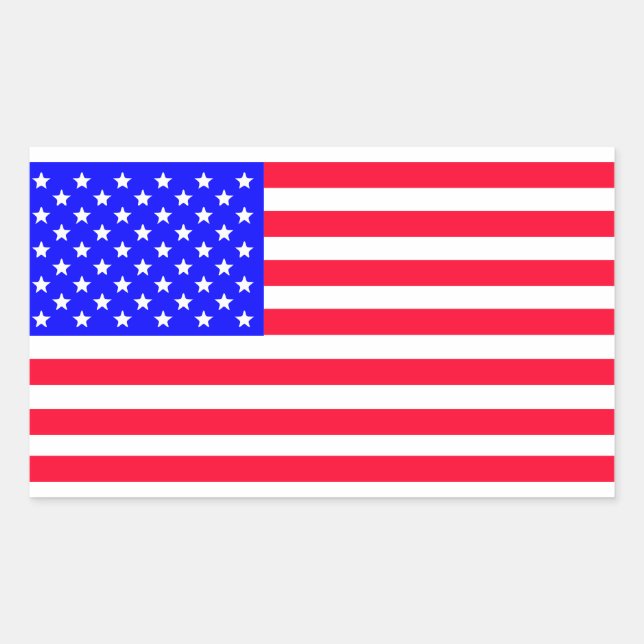 USA American Flag Art  Rectangular Sticker (Front)