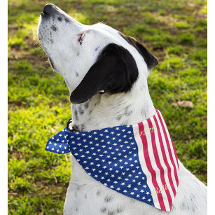 USA American Flag Stars Stripes Dog Cat Name Fun Bandana
