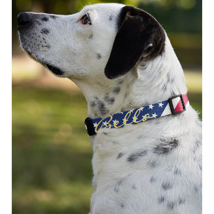 USA American Flag Stars Stripes Dog Puppy Name Pet Collar
