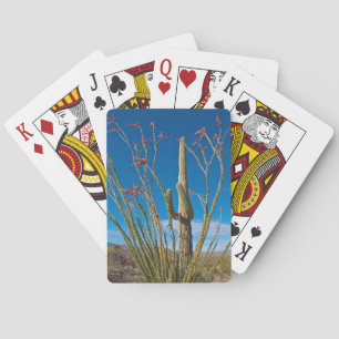 USA, Arizona. Cactus In Saguaro National Park Playing Cards