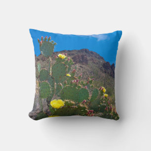 USA, Arizona. Cactus In The Hills Cushion