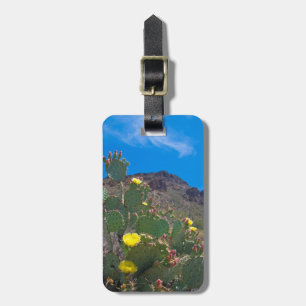 USA, Arizona. Cactus In The Hills Luggage Tag