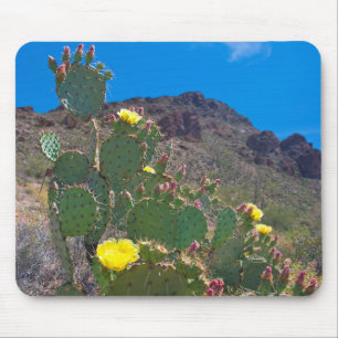 USA, Arizona. Cactus In The Hills Mouse Pad