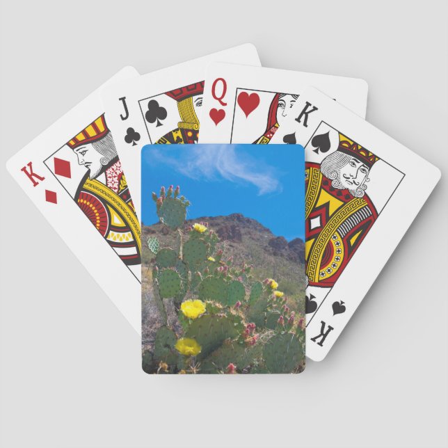 USA, Arizona. Cactus In The Hills Playing Cards (Back)