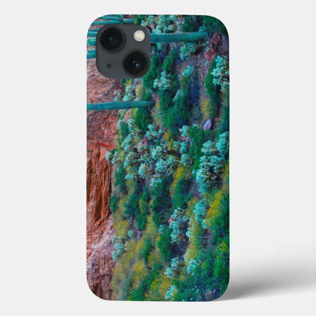 USA, Arizona. Desert Flora Case-Mate iPhone Case (Back)