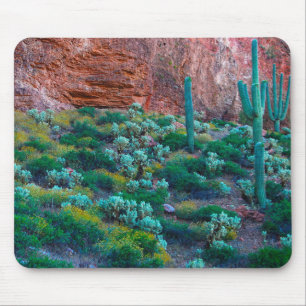 USA, Arizona. Desert Flora Mouse Pad