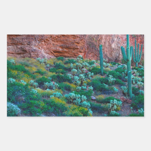 USA, Arizona. Desert Flora Rectangular Sticker (Front)
