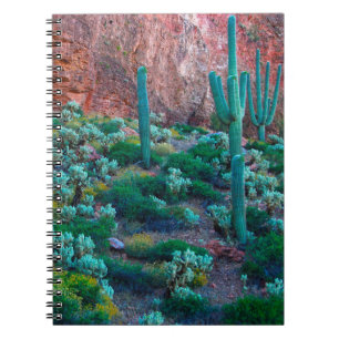 USA, Arizona. Desert Flora Spiral Notebook