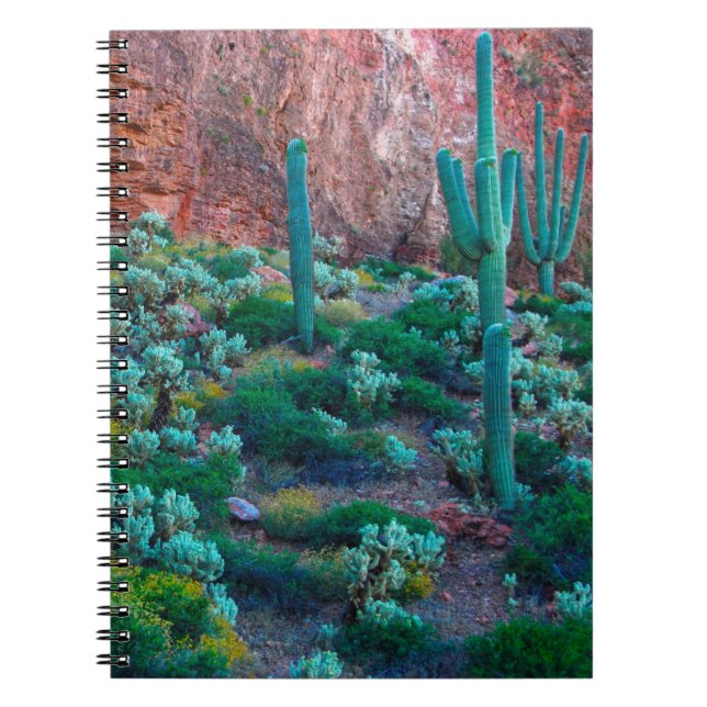 USA, Arizona. Desert Flora Spiral Notebook (Front)