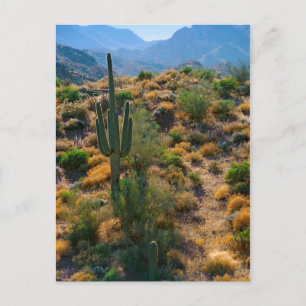 USA, Arizona. Desert View Postcard