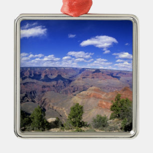 USA, Arizona, Grand Canyon National Park, South Metal Tree Decoration