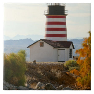 USA, Arizona, Lake Havasu City. View of West Tile