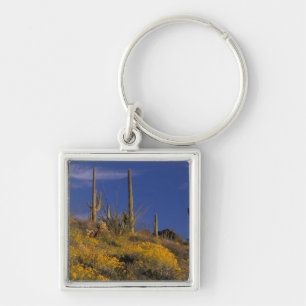 USA, Arizona, Organ Pipe Cactus National 2 Key Ring