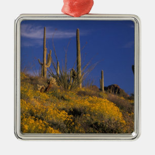 USA, Arizona, Organ Pipe Cactus National 2 Metal Tree Decoration
