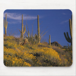USA, Arizona, Organ Pipe Cactus National 2 Mouse Pad