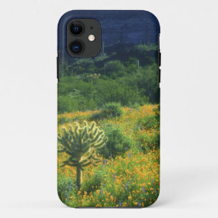 USA, Arizona, Organ Pipe Cactus National Case-Mate iPhone Case