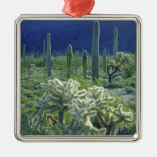 USA, Arizona, Organ Pipe Cactus National Metal Tree Decoration