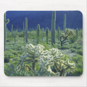 USA, Arizona, Organ Pipe Cactus National Mouse Pad