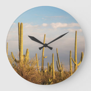 USA, Arizona, Saguaro National Park, Saguaro Large Clock