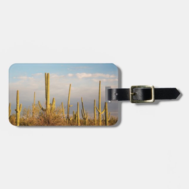 USA, Arizona, Saguaro National Park, Saguaro Luggage Tag (Front Horizontal)