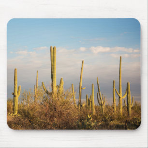 USA, Arizona, Saguaro National Park, Saguaro Mouse Pad