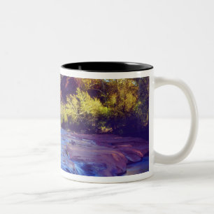 USA, Arizona, Sedona. Cathedral Rock reflecting 2 Two-Tone Coffee Mug