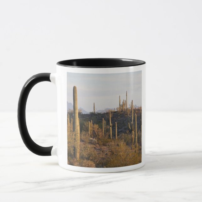 USA, Arizona, Sonoran Desert, Ajo, Ajo 2 Mug (Left)
