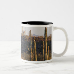 USA, Arizona, Sonoran Desert, Ajo, Ajo 2 Two-Tone Coffee Mug