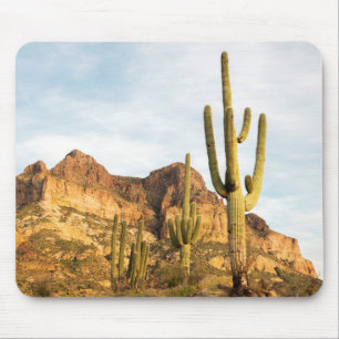 USA, Arizona, Tonto National Forest, Picketpost 2 Mouse Pad