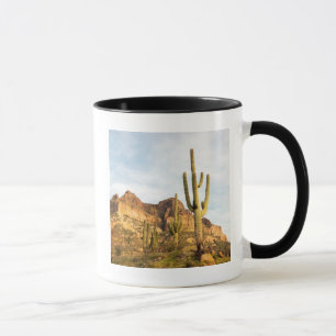 USA, Arizona, Tonto National Forest, Picketpost 2 Mug