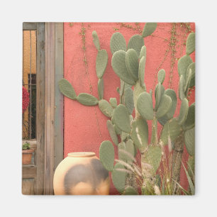 USA, Arizona, Tucson: Presidio Historic District 2 Magnet