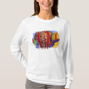 USA, Arizona, Val Vista. Colourful hot-air T-Shirt