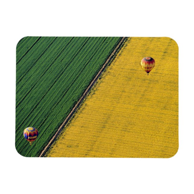 USA, Arizona, Val Vista. Hot-air balloons soar Magnet (Horizontal)