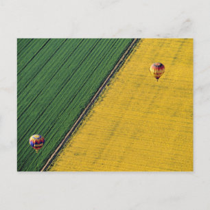 USA, Arizona, Val Vista. Hot-air balloons soar Postcard